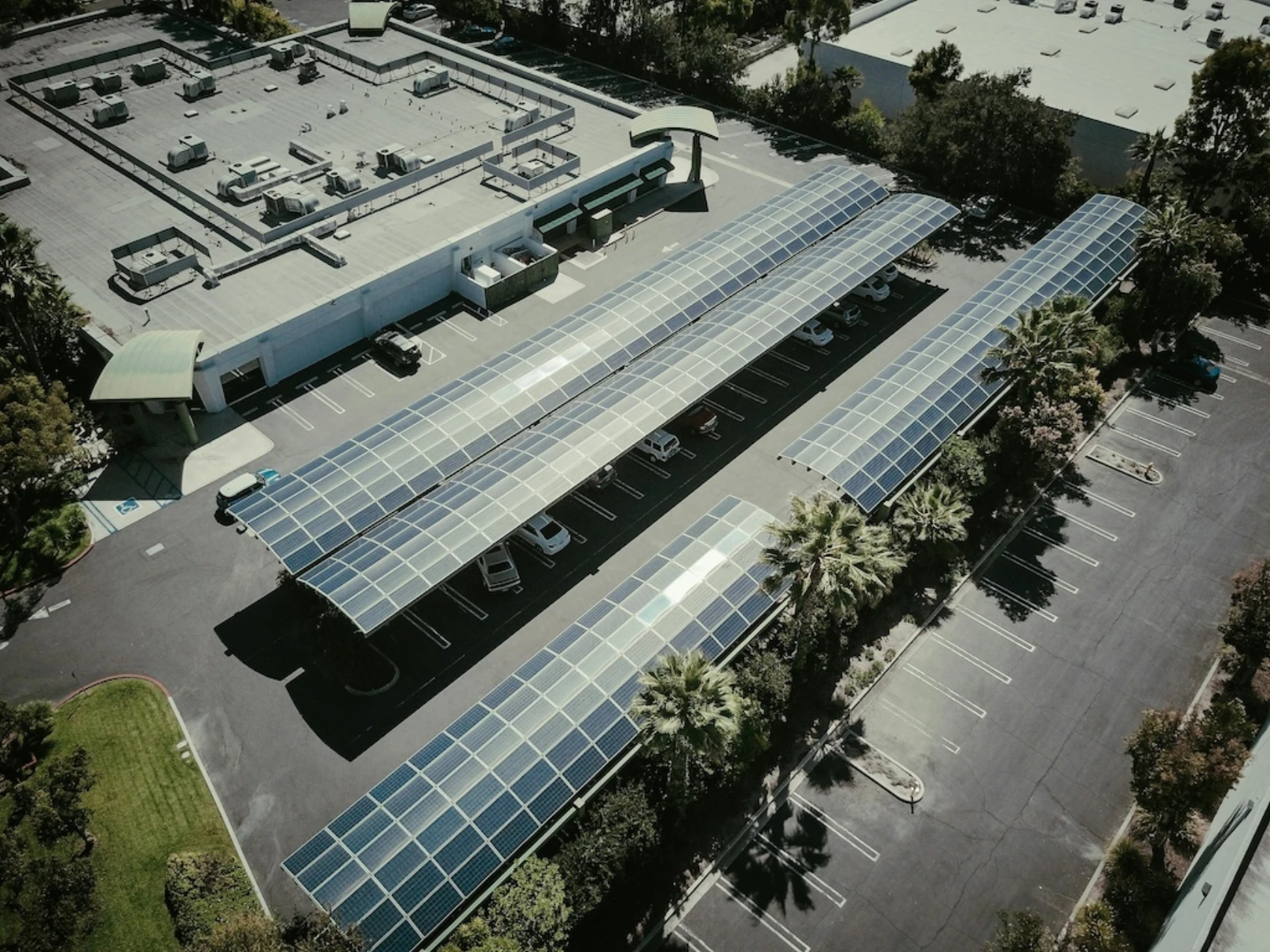 Commitment to Sustainability